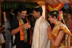 Celebs at Pokuri Rama Rao Son Wedding Photos - 15 of 23