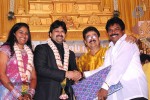 Celebs at S V Shekher Son Ashwin Wedding Reception - 23 of 86