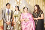 Celebs at Sathyapriya Daughters Wedding Reception - 4 of 40
