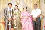 Celebs at Sathyapriya Daughters Wedding Reception - 6 of 40