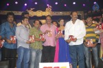 Chandi Movie Audio Launch 03 - 20 of 98