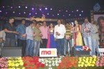 Chandi Movie Audio Launch 03 - 91 of 98