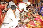 Chinna Srisailam Yadav Daughter Marriage Photos - 40 of 43