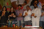 Chirutha Puli Movie Audio Launch - 48 of 60