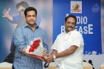 choosinodiki-choosinantha-audio-launch