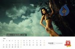 Cloud Nine's bikini calendar 2010 Stills - 12 of 12