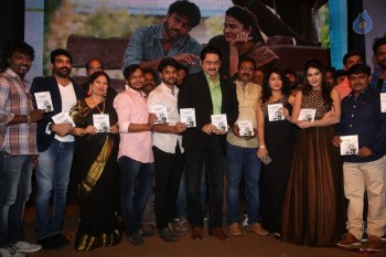 C/O Godavari Audio Launch - 7 of 42