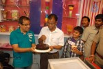Cream Stone Ice Cream Outlet Launch - 6 of 46