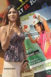 Cricket Scandal Tamil Movie Press Meet - 9 of 38