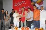 Daggaragaa Doorangaa Movie Audio Launch - 38 of 54