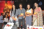 dammu-movie-audio-launch-04
