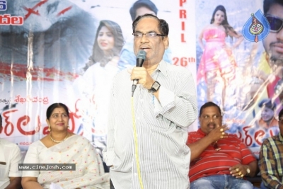 Danger Love Story Movie Press Meet - 18 of 21