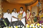 Dayanidhi Alagiri Wedding Reception - 3 of 33