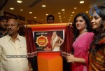 Deeksha visits RS Brothers Shopping Mall - 66 of 85