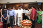 Bhavya Cement Launch Event - 12 of 33