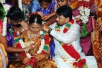 Director Chimbudevan Wedding Photos - 15 of 32