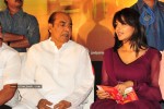 Don Seenu Movie Audio Launch Photos (First on Net ) - 16 of 80