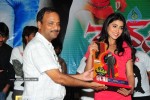 Don Seenu Movie Platinum Disc Function Photos - 18 of 41