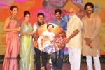 doosukeltha-audio-launch-04