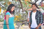 ee-varsham-sakshigaa-movie-opening