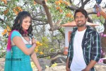 ee-varsham-sakshigaa-movie-opening