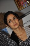 Erra Gulabeelu Movie Special Show for Sridevi Family - 36 of 52