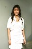 Bollywood actresses At Fuel Show Room - Amisha Patel - Manjari Phadnis - Soniya Mehra - 9 of 15