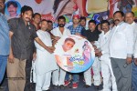 full-guarantee-movie-audio-launch