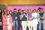 gaddam-gang-audio-launch-02