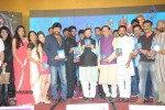 gaddam-gang-audio-launch-02