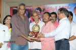 Geetha Platinum Disc Function - 8 of 57