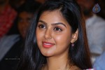geethanjali-audio-launch-02