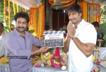 Gopichand New Movie Opening - 11 of 73