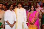 Gopichand Wedding Reception 02 - 12 of 173