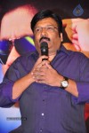 Greeku Veerudu Hexa Platinum Disc Function - 17 of 82