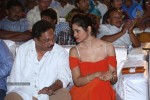 Green Signal Audio Launch - 129 of 145
