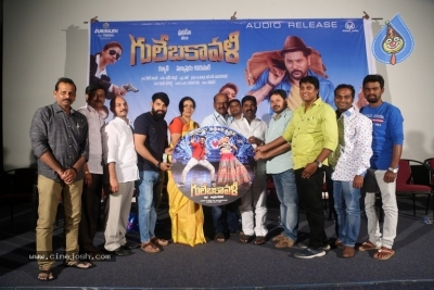 Gulebakavali Movie Audio Launch - 11 of 34