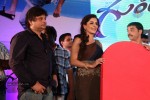 Gunde Jaari Gallanthayyinde Audio Launch - 127 of 298