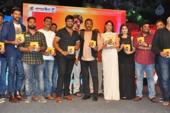 Gunturodu Audio Launch 2 - 20 of 87