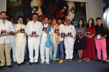 HBD Audio Launch - 1 of 31