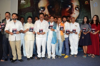 HBD Audio Launch - 8 of 31