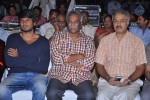 Hrudaya Kaleyam Movie Audio Launch - 37 of 150