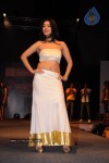 hyderabad-designer-week-2010-fashion-show