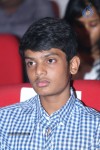 Iddarammayilatho Audio Launch 02 - 120 of 140