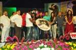 iddarammayilatho-audio-launch-05