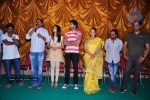 It's My Love Story Movie Platinum Disc Function - 9 of 83