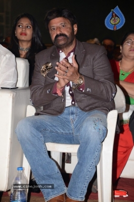 Jai Simha Audio Launch 05 - 2 of 74