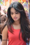 Jeyikkira Kuthira Tamil Movie Opening n Stills - 44 of 97