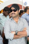 Jr NTR New Movie Opening