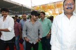 Jr NTR New Movie Opening